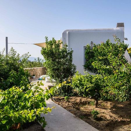 Villa Live & Dream Mykonos Town Esterno foto