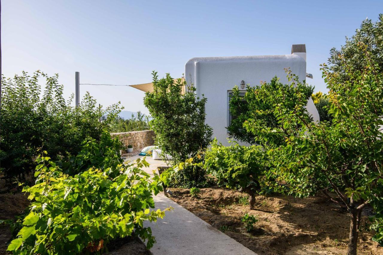 Villa Live & Dream Mykonos Town Esterno foto